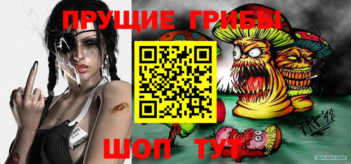 Галлюциногенные грибы мухоморы Курчалой